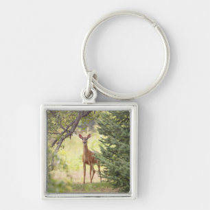 A Lone Deer Key Ring