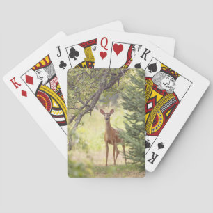 A Lone Deer  Playing Cards