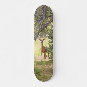 A Lone Deer  Skateboard