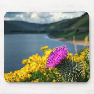 A lone thistle overlooking Megget Reservoir Mouse Pad