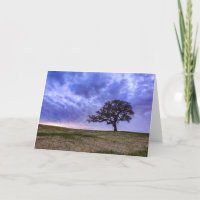A Lone Tree
