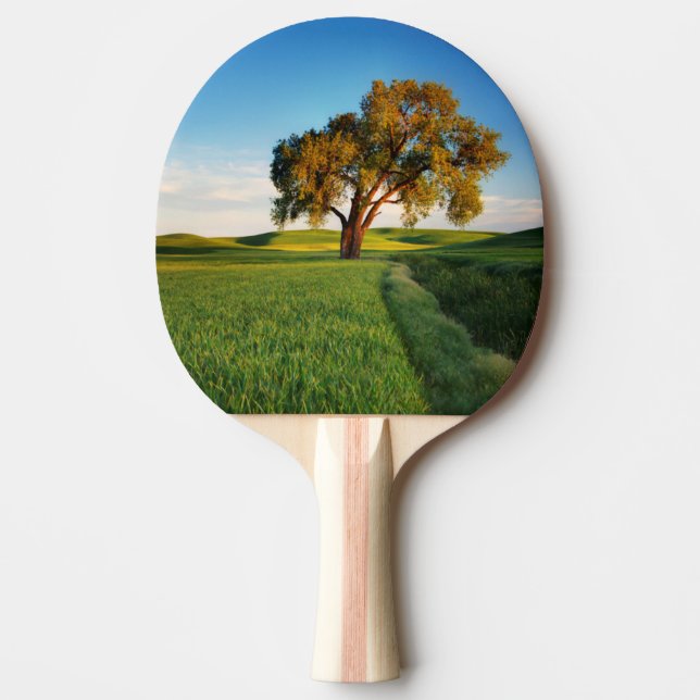 A lone tree surrounded by rolling hills of wheat ping pong paddle (Front)