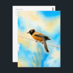 A lonely colourful bird postcard<br><div class="desc">A lonely colourful bird wandering and hanging in the wild nature.</div>