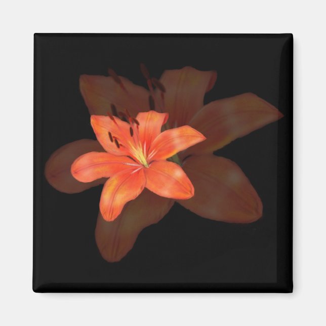 A Lonely Lily magnet (Front)