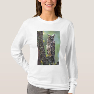 A long-eared owl perched on a tree branch T-Shirt