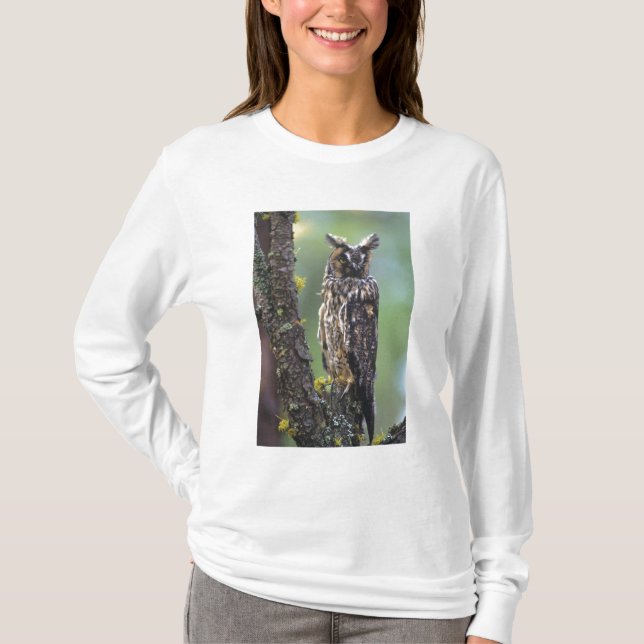 A long-eared owl perched on a tree branch T-Shirt (Front)