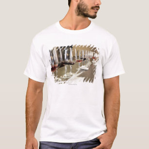 A long row of wine glasses set up so a large T-Shirt