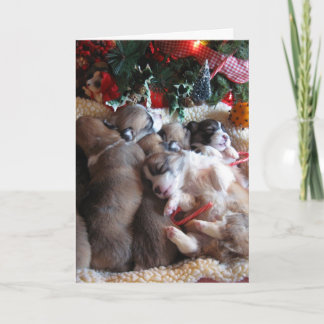 A Long Winter's Nap Corgi Puppy Christmas Cards