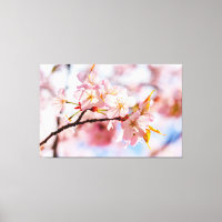 A Lovely Bunch Of Sakura Flowers On Pink Backdrop