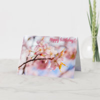 A Lovely Bunch Of Sakura Flowers On Pink Backdrop