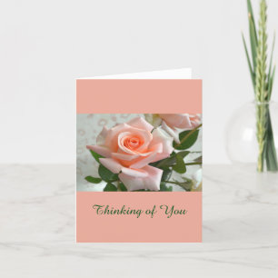 A Lovely Pink Rose Thinking of You Note Card