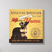 A Loving Miniature Schnauzer Makes Our House Home