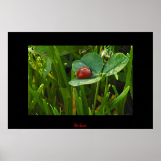 A Lucky St. Patricks Day Poster