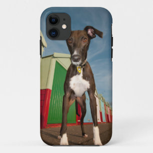 A Lurcher Standing In Front Of Some Beach Huts Case-Mate iPhone Case