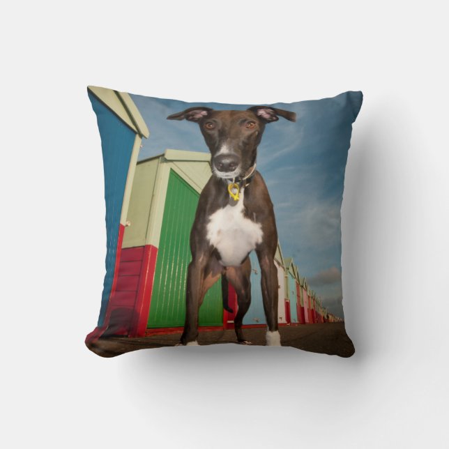 A Lurcher Standing In Front Of Some Beach Huts Cushion (Front)