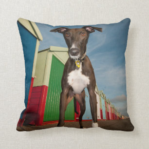 A Lurcher Standing In Front Of Some Beach Huts Cushion