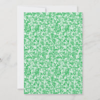 A lush, green fern with delicate, arching fronds f