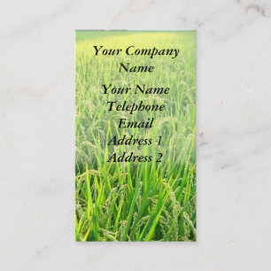 A Lush Green Rice Field with Ripe Ears of Rice Business Card