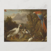 A Macaw Ducks Parrots and Other Birds in a Landsca