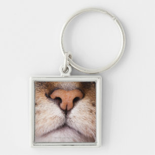 A macro image of a cat's nose and mouth. key ring
