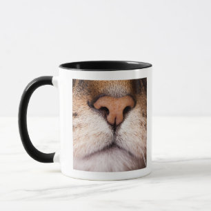 A macro image of a cat's nose and mouth. mug