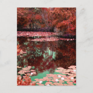 A Magical Landscape Postcard