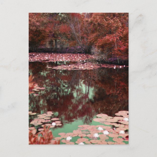 A Magical Landscape Postcard (Front)