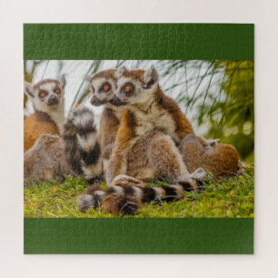 a male lemur hugs his female on puzzle