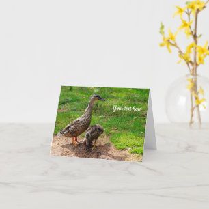 A Mallard Duck and her Duckling Greeting card