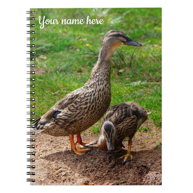 A Mallard Duck and her Duckling Spiral notebook (Front)