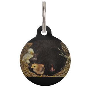 A Mama and Her Chicks Pet Tag
