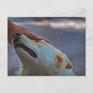 A man and his dog, postcard