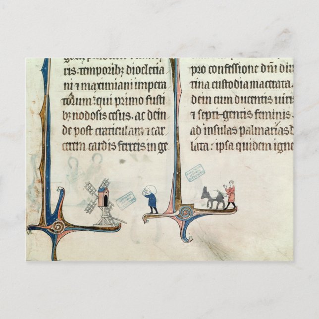 A Man Driving his Donkey Carrying Bags of Postcard (Front)