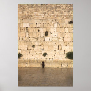 A Man Praying at the Western Wall Poster