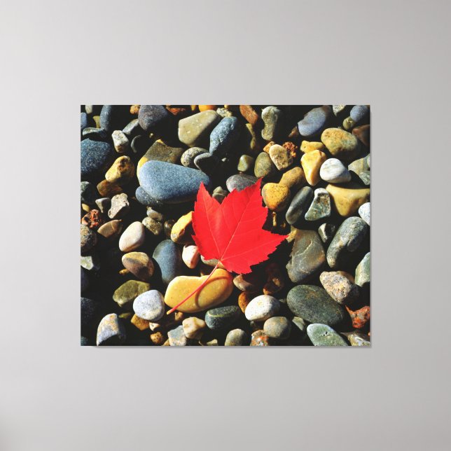 A Maple leaf on a Rock Background Canvas Print (Front)