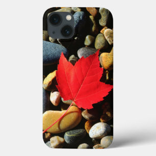 A Maple leaf on a Rock Background iPhone 13 Case
