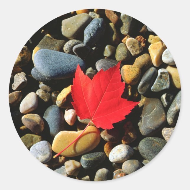 A Maple leaf on a Rock Background Classic Round Sticker (Front)