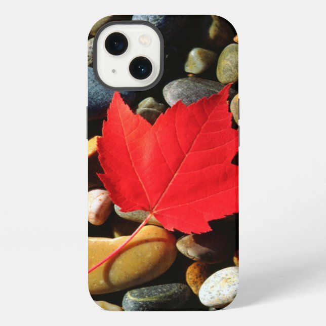 A Maple leaf on a Rock Background iPhone Case (Back)