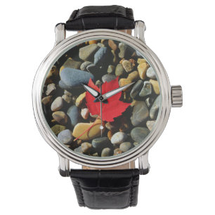 A Maple leaf on a Rock Background Watch