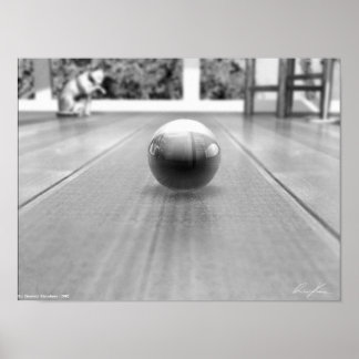 A Marble's World - Black And White Poster