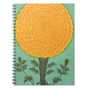 A Marigold, from the Small Clive Album (w/c on pap Notebook