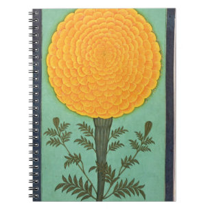 A Marigold, from the Small Clive Album (w/c on pap Notebook