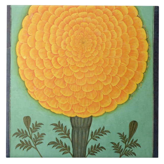 A Marigold, from the Small Clive Album (w/c on pap Tile (Front)