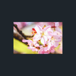 A Marvellous Bunch Of Pink Sakura Flowers In Sprin Canvas Print<br><div class="desc">A marvellous bunch of pink sakura flowers on a tree twig. The smooth multicolor background of cherry blossoms and fresh garden grass. An extra-large digital painting from a photograph. Awesome floral stretched canvas print to decorate your place or to be used as a gift on weddings, birthdays, baby showers, or...</div>