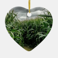 A maze of maize