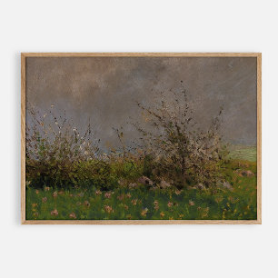 A Meadow Flower, oil vintage  Poster