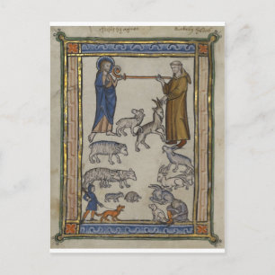 A Mediaeval Bestiary Postcard