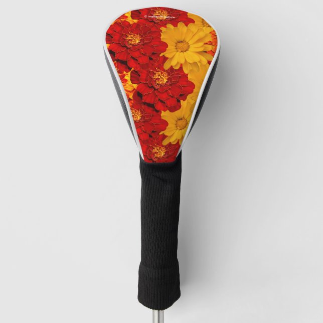 A Medley of Red Yellow and Orange Marigolds Golf Head Cover (Front)