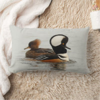 A Meeting of Hooded Merganser Ducks at the Pond