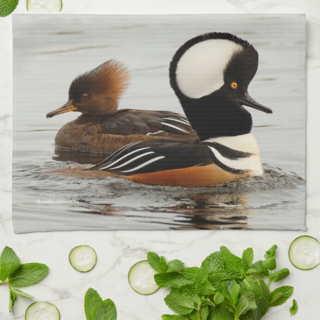 A Meeting of Hooded Merganser Ducks at the Pond Tea Towel (Folded)